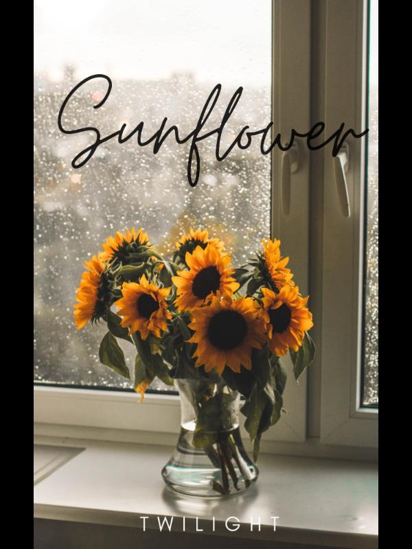 Sunflower Book