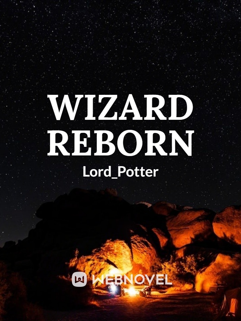 Wizard Reborn Book