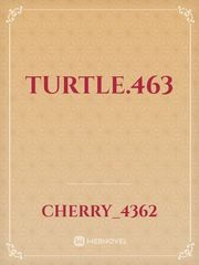 turtle.463 Book
