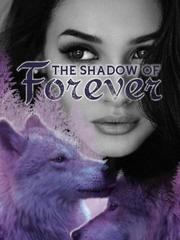 The Shadow of Forever Book