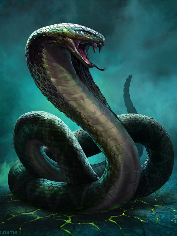 Martial Spirit Evolves from Mandala Snake