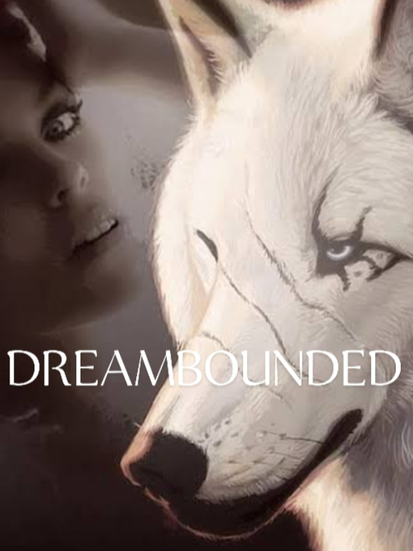 DREAMBOUNDED Book