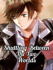 Shuttling Between the Two Worlds Book