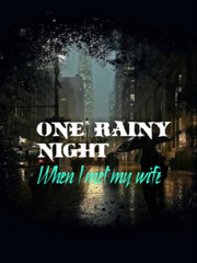 One rainy night, When I met my wife Book