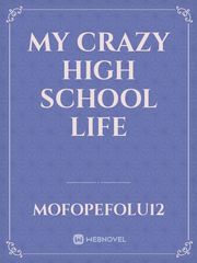 My Crazy High School Life Book