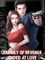 Journey of revenge ended at love Book