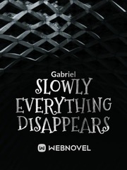 Slowly EvErything Disappears Book