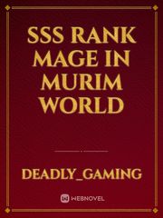 SSS Rank Mage In Murim World Book