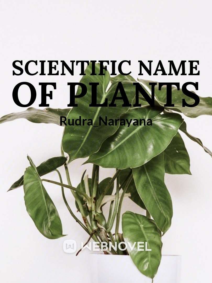 Scientific name of the plants