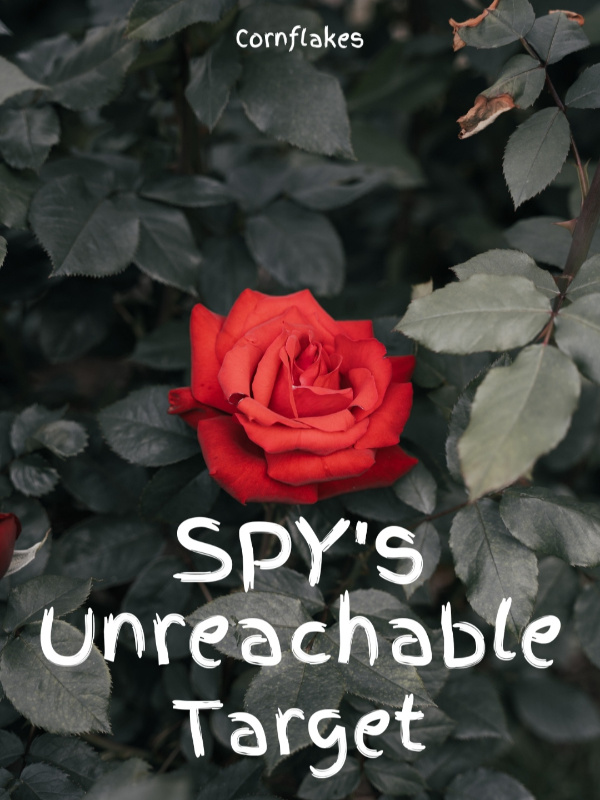 Spy's Unreachable Target