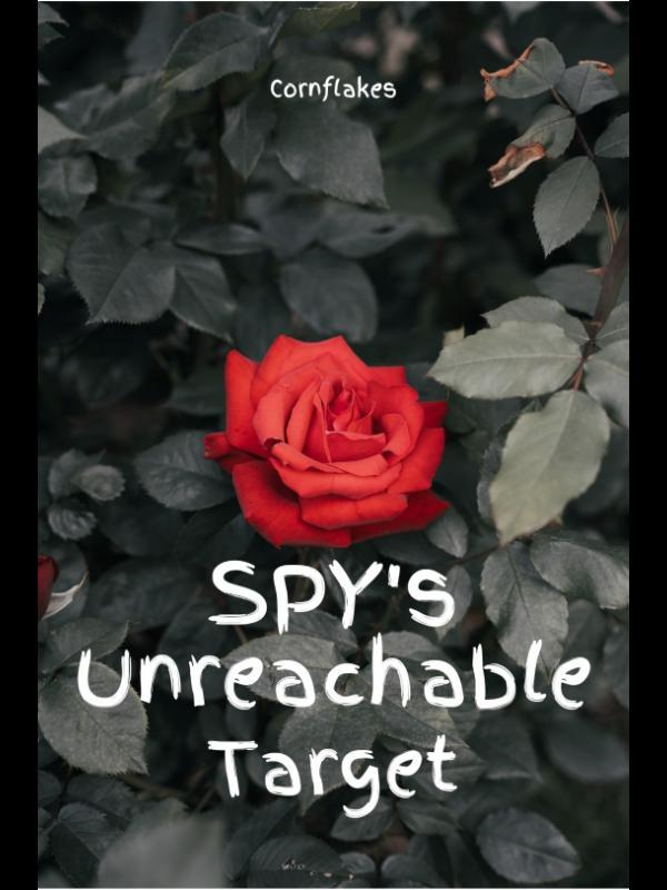 SPY'S UNREACHABLE TARGET