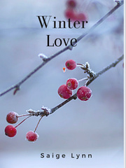 Winter Love story Book