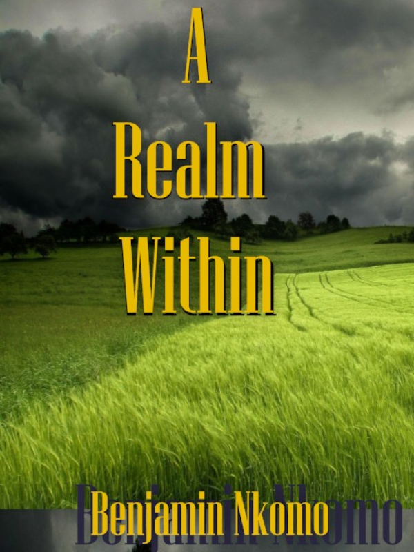 A REALM WITHIN Book