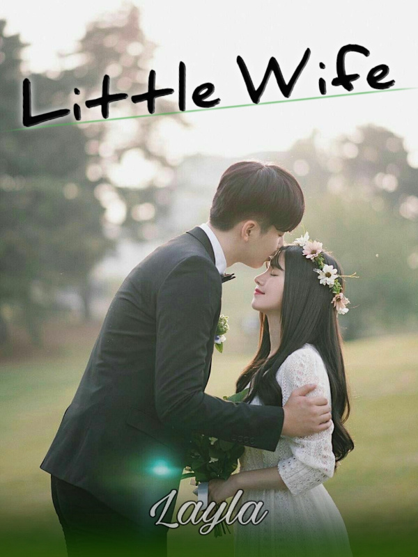 Little Wife Book