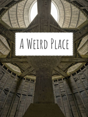A Weird Place: Book