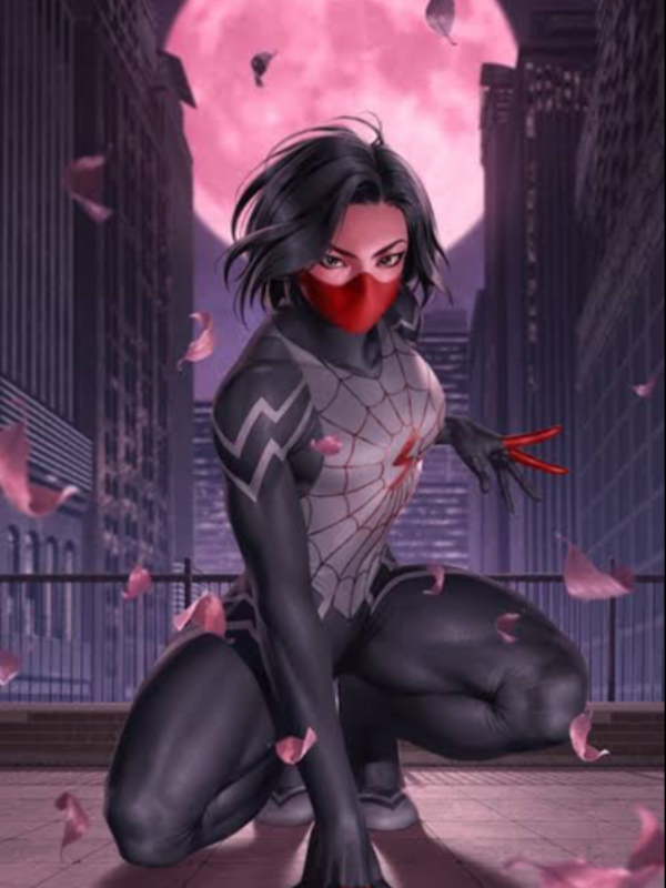A Hero by the Name of Silk Book