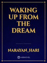 Waking Up From The Dream Book