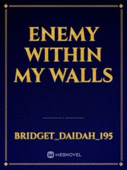 Enemy Within My Walls Book