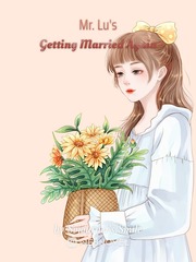 Mr. Lu's Getting Married Again Book