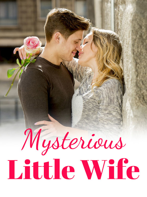 Mysterious Little Wife Book