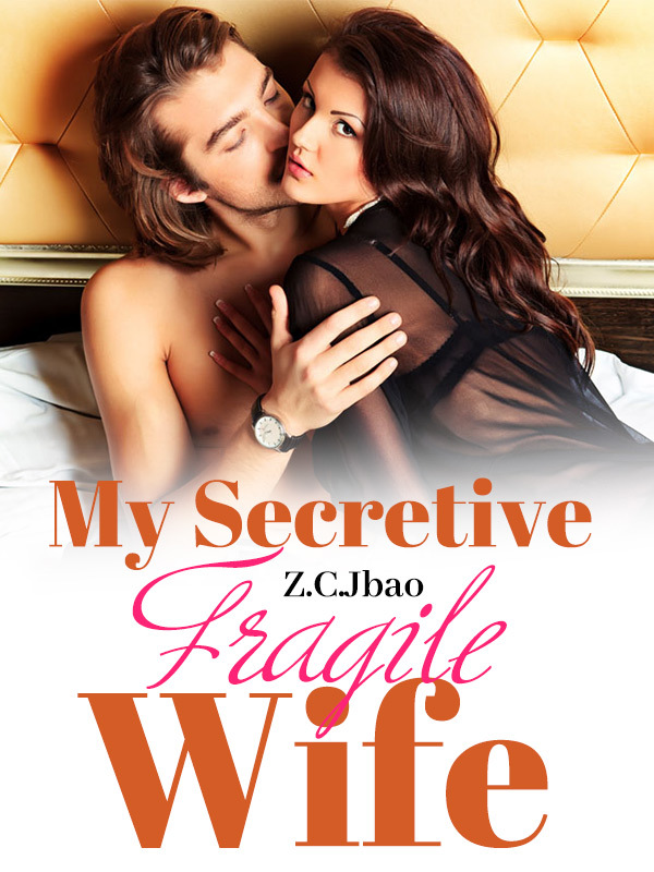 My Secretive Fragile Wife Book