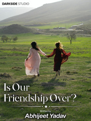 Is Our Friendship Over? Book
