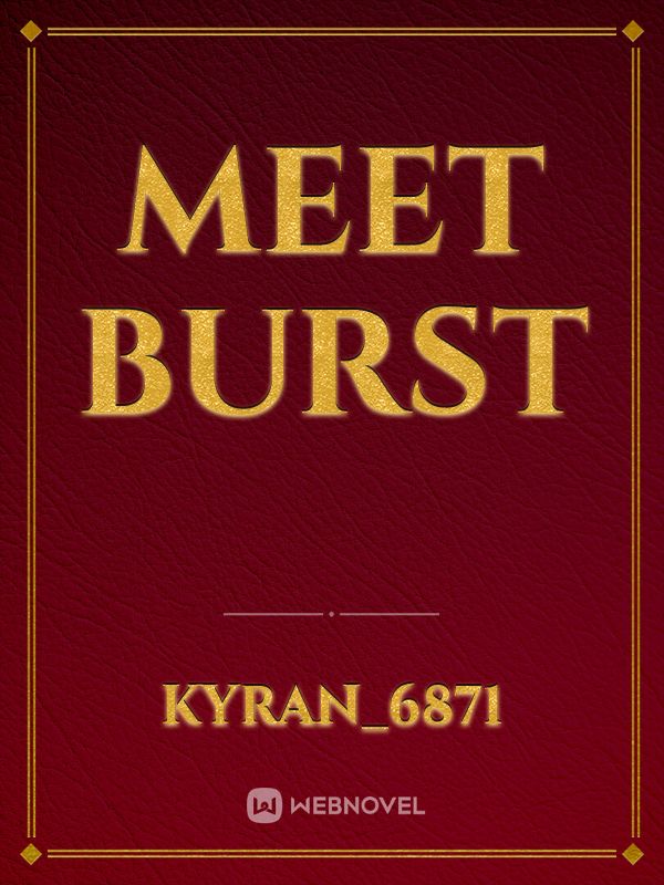 Meet Burst Book