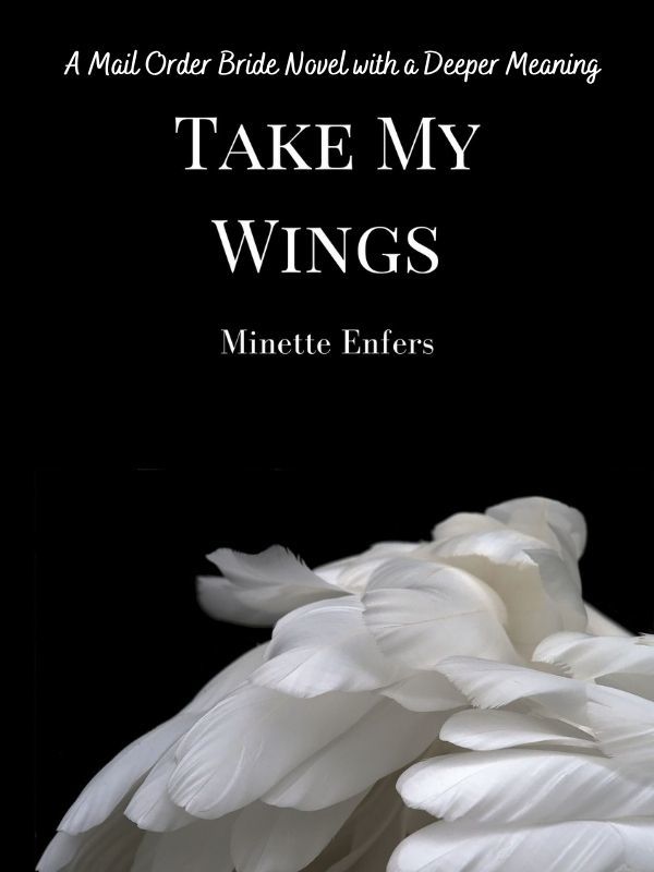 Take My Wings: A Mail Order Bride Novel with a Deeper Meaning Book