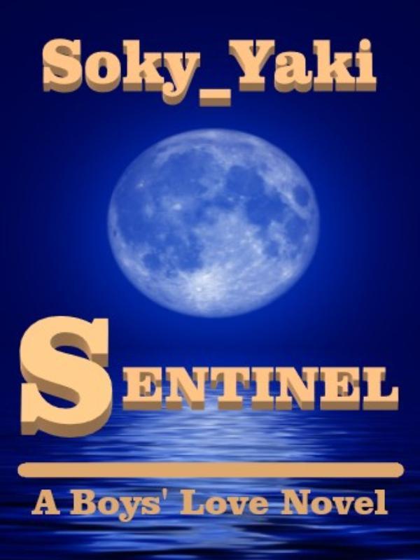 Sentinel (A Boys' Love Novel)