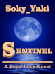 Sentinel (A Boys' Love Novel) Book