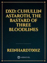 DxD: Cuhullin Astaroth, The Bastard Of Three Bloodlines Book