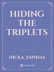 Hiding the triplets Book