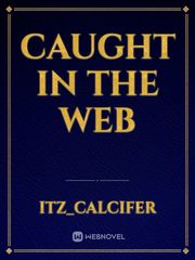 Caught in the web Book