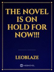 The novel is on hold for now!!! Book