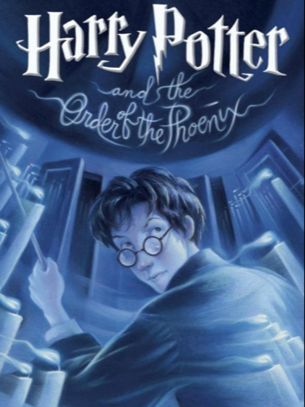 Harry Potter– LF Lovers