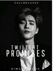 Twilight Promises Book