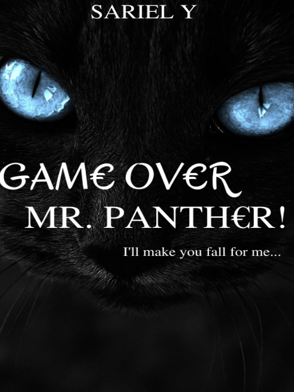 Game Over, Mr. Panther! Book