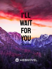 "I'll Wait For You" Book