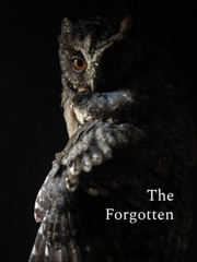 The Forgotten. Book