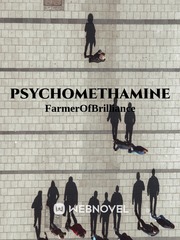 PsychoMETHamine Book