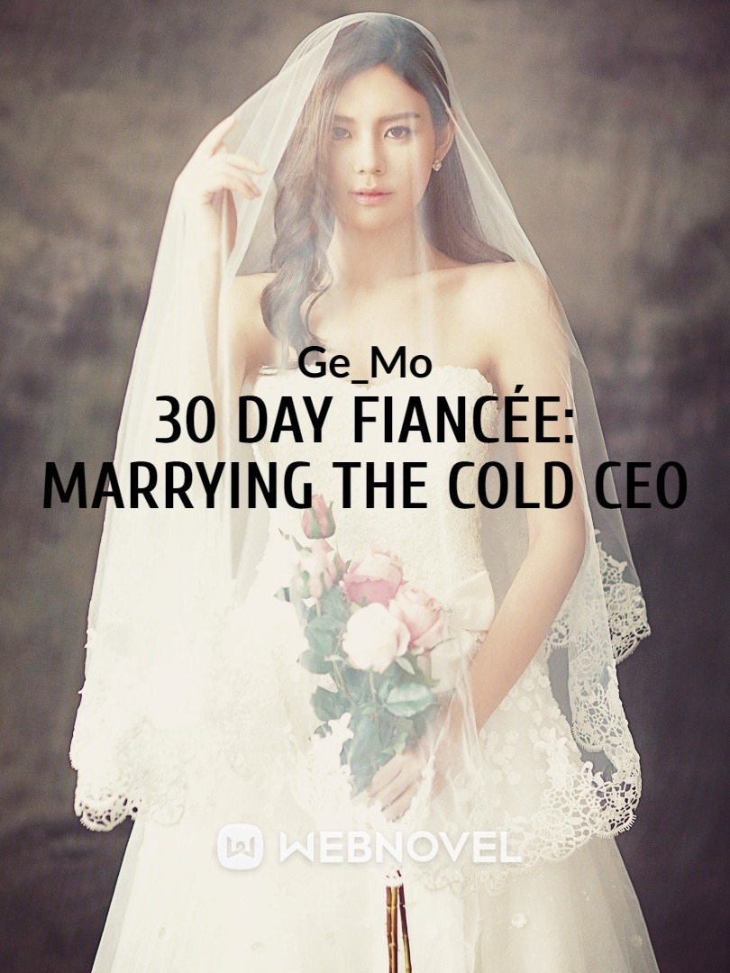 30 Day Fiancée: Marrying the Cold CEO
