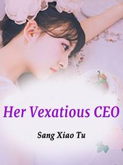 Her Vexatious CEO Book