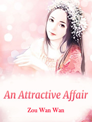 An Attractive Affair Book