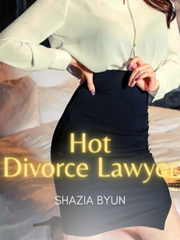 HOT DIVORCE LAWYER Book