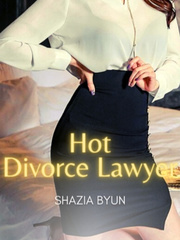 HOT DIVORCE LAWYER Book
