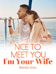 Nice To Meet You, I'm Your Wife Book