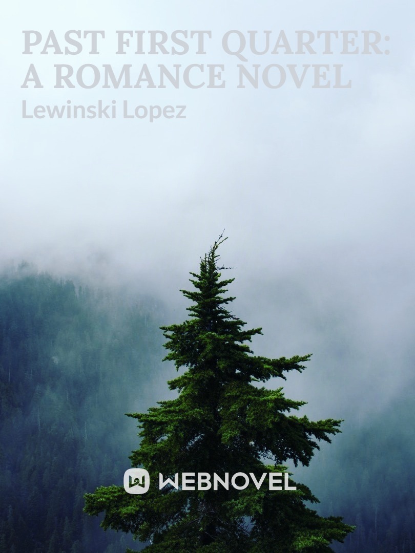 Past First Quarter: A Romance Novel Book