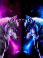 book 3 silverfang and the flash point Book