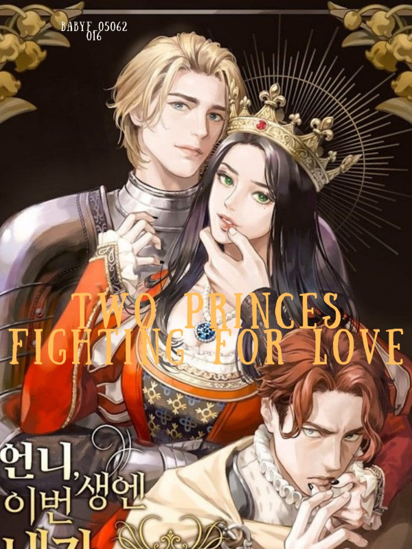 TWO PRINCES FIGHTING FOR LOVE Book