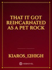 That it got reincarnated as a pet rock Book